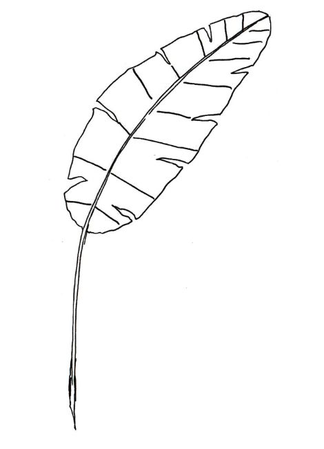 Feuille de banannier - étape 4.