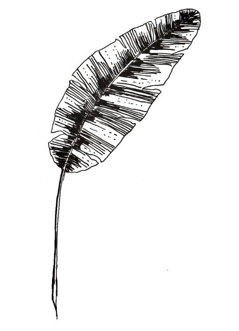 Feuille de banannier - étape 6.