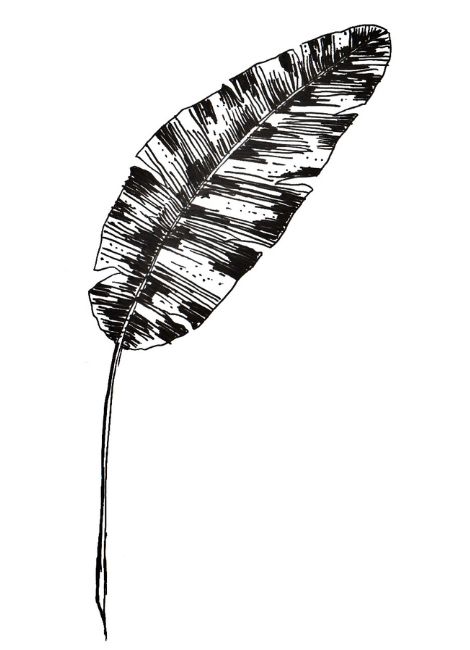 Feuille de banannier - étape 7.