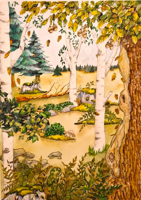 Aquarelle foret imaginaire livre dessins helenevalentin modules