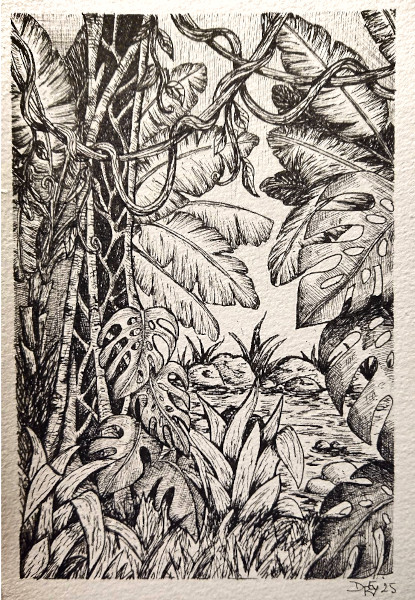 Dessin foret imaginaire livre dessins helenevalentin modules