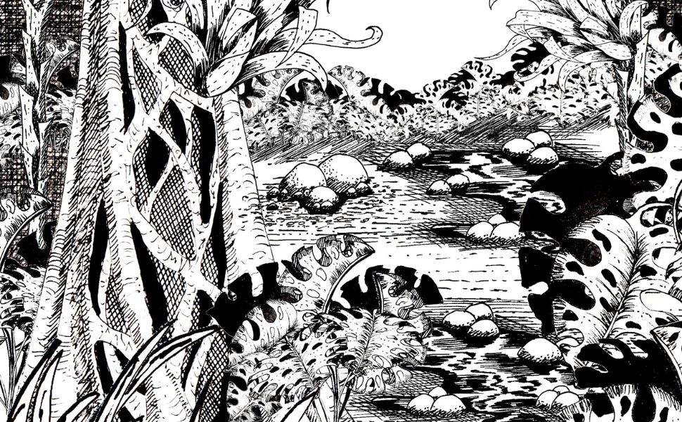 Une forêt dense dessinée à l'encre.