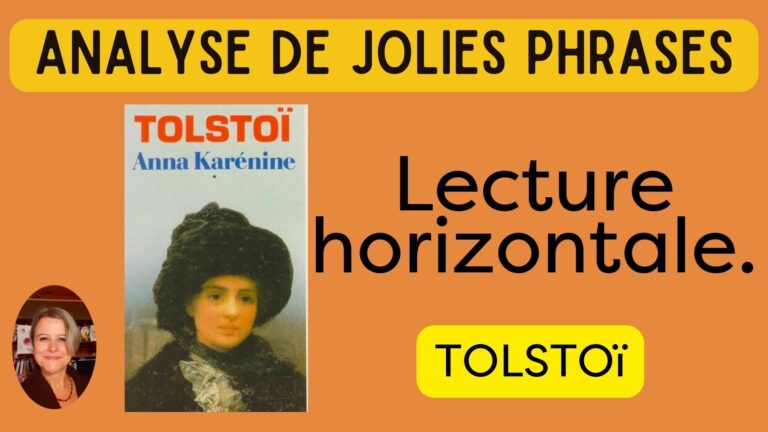 Miniature tolstoi karenine helenevalentin syntaxe grammaire livreillustré chroniquelitteraire chroniquelittéraire lecturedumoment avislecture livreaddict