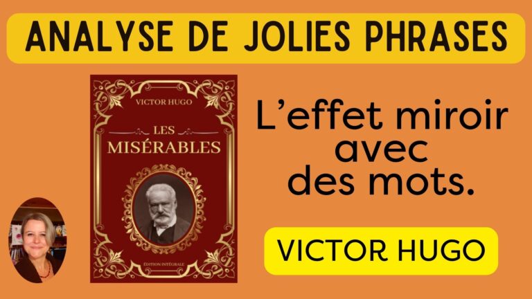 Vignette yt HUGO MISERABLES helenevalentin syntaxe grammaire livreillustré chroniquelitteraire chroniquelittéraire lecturedumoment avislecture livreaddict