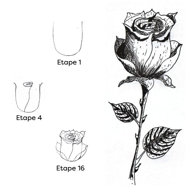 Une rose dessinée à l'encre noire.