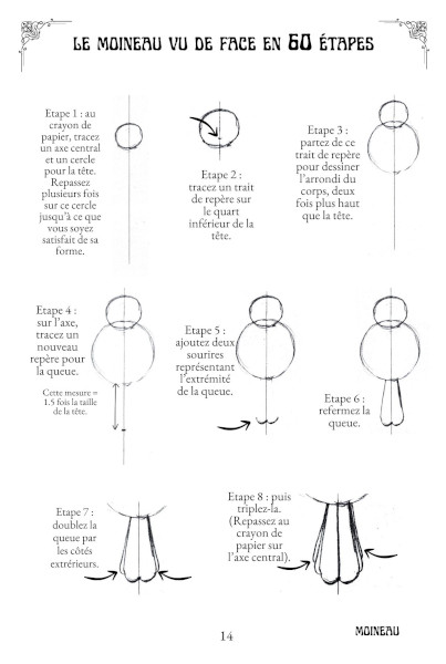 OISEAUX IMAGINAIRES p14 methoe
