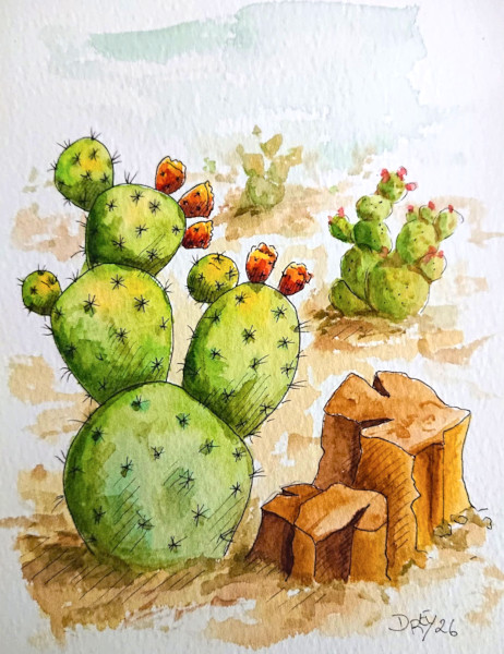 Aquarelle livre cactus dessins apprendre forets imaginaires modules helenevalentin