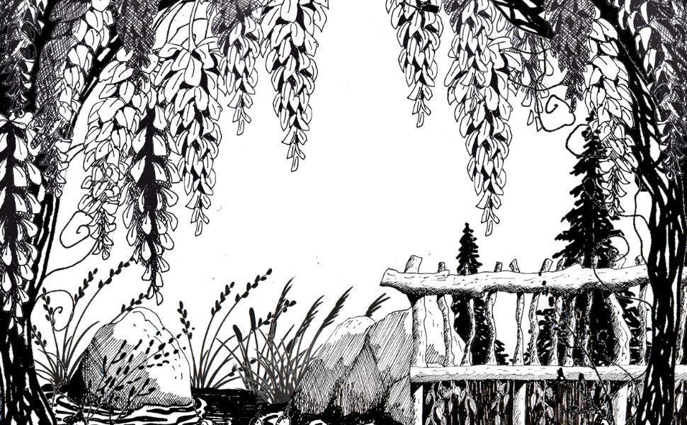 De la glycine dessinée à l'encre pend au-dessus d'un jardin aquatique avec un ponton.