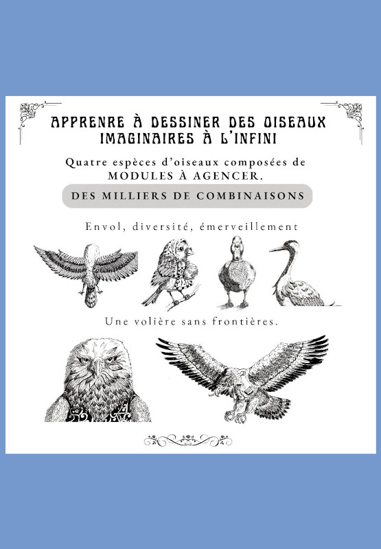 Quatrieme couverture dessiner apprendre livre oiseaux imaginaires modules helenevalentin