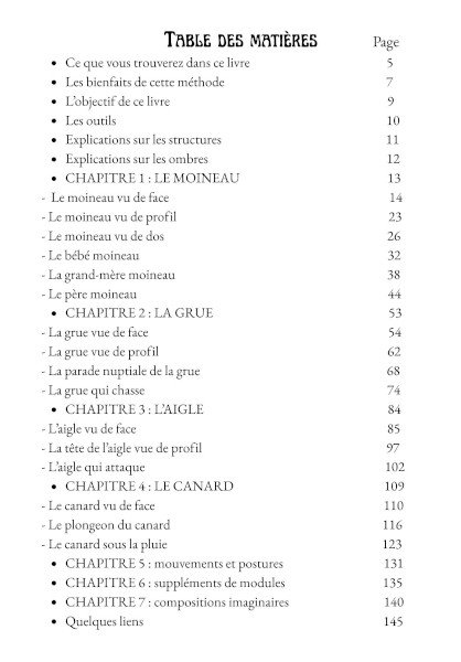 Tabledesmatieres dessiner apprendre livre oiseaux imaginaires modules helenevalentin