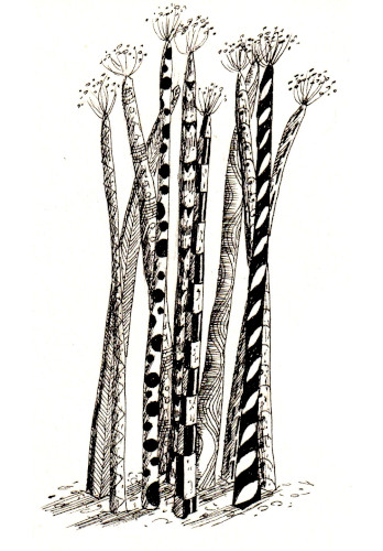 Inspiration asperges dessin apprendre livre debutants helenevalentin idees
