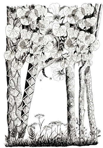 Vegetation composition dessin apprendre livre debutants helenevalentin idees